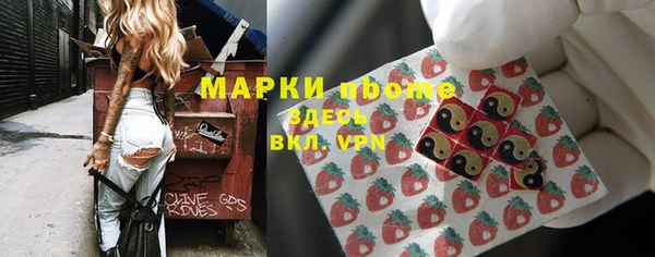 твердый Алзамай