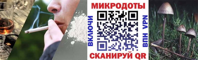закладка  Невинномысск  Псилоцибиновые грибы MAGIC MUSHROOMS 